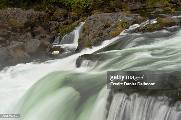 deadline falls in autumn, north umpqua river, umpqua national forest, oregon, usa - bosque nacional de umpqua fotografías e imágenes de stock