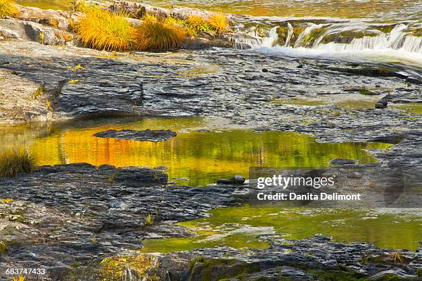 autumn reflections, steamboat falls, steamboat creek, umpqua national forest, oregon, usa - bosque nacional de umpqua fotografías e imágenes de stock