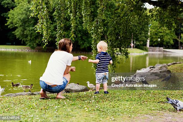 full length rear view of mother and son feeding birds at pond - feeding foto e immagini stock
