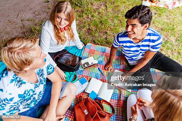 high angle view of multi-ethnic friends studying in park - teenager girl blanket stockfoto's en -beelden