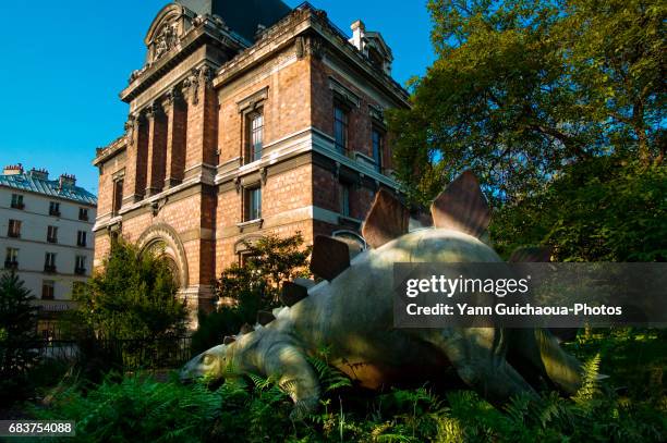 gallery of palaeontology and comparative anatomy, paris, france - reptil ストックフォトと画像