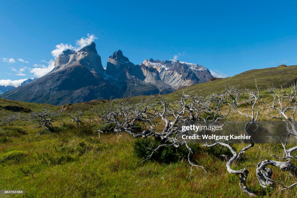 View of Cuernos del Paine mountains from Salto Grande trail...