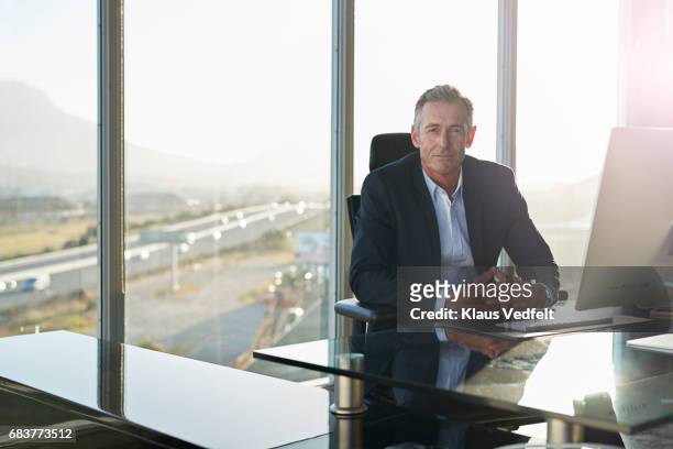 portrait of male ceo in big corner office - chief executive officer stock-fotos und bilder
