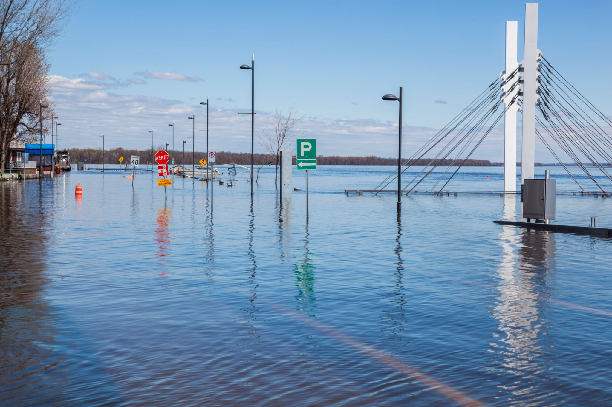 flood zone map