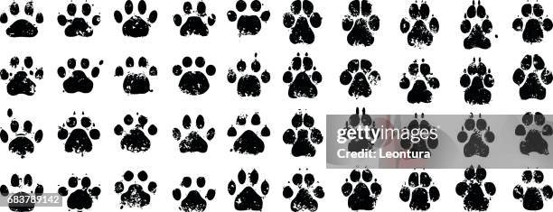 illustrazioni stock, clip art, cartoni animati e icone di tendenza di stampe per cani e gatti - animal track