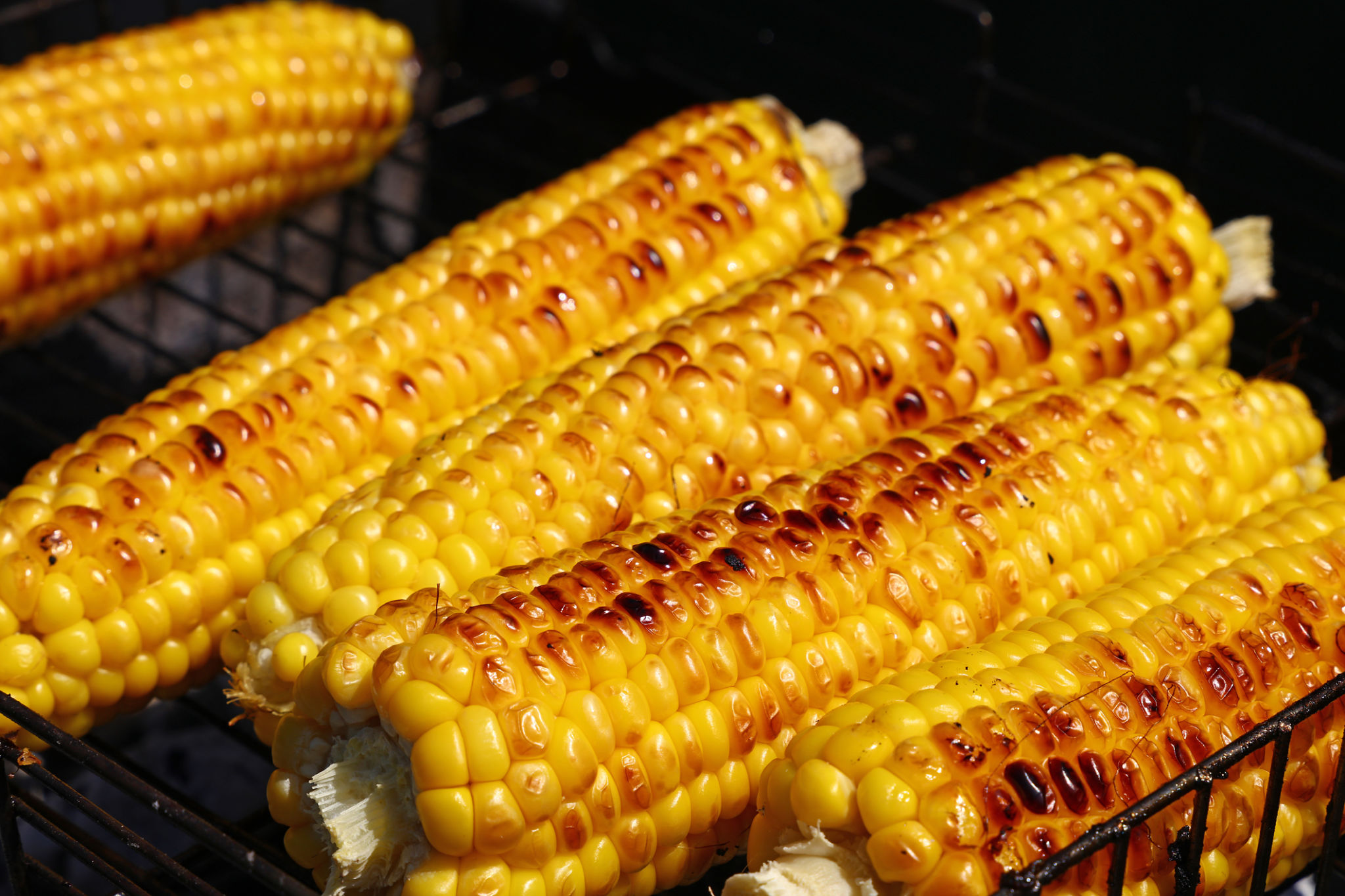 grilled food