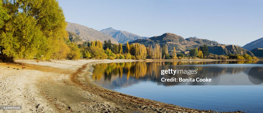 Glendhu Bay shoreline panorama, Lake Wanaka