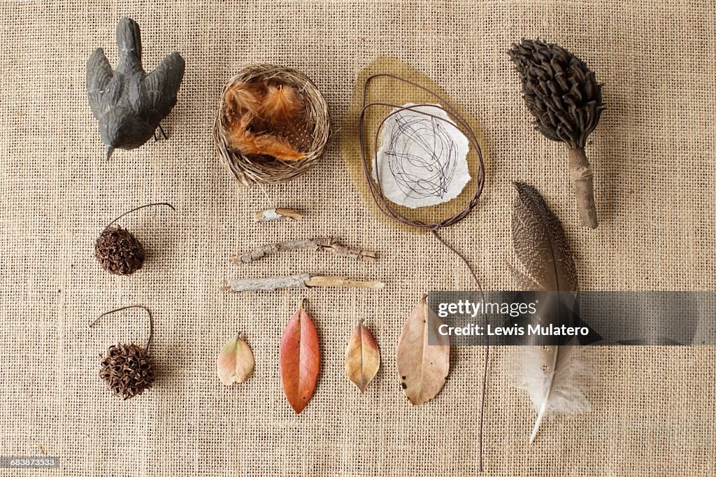 Autumn Knolling 