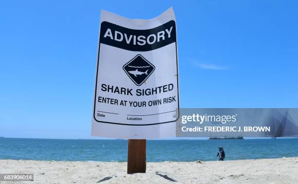 Warning signs for shark sightings remain in Long Beach, California, on May 16 where Great White sharks and their pups have been sighted regularly off...