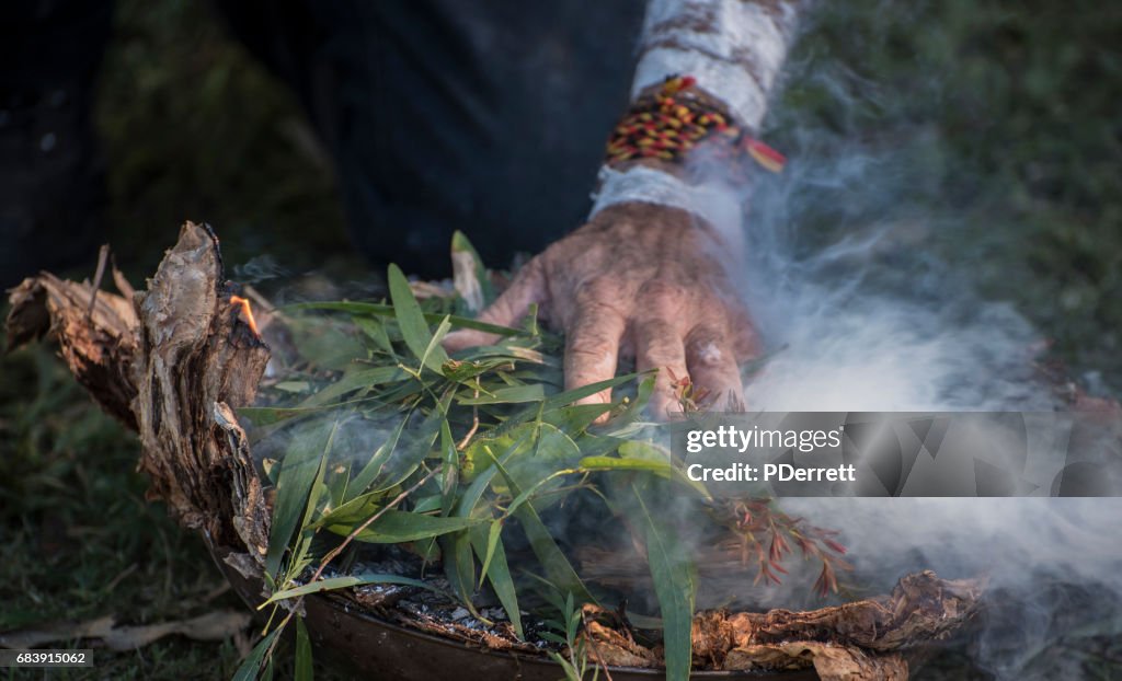 Mano del anciano aborigen coloca hojas de eucalipto en el fuego.