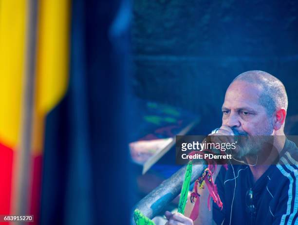 aborigine spielt didgeridoo vor mardi grass-parade. - aboriginal flag stock-fotos und bilder