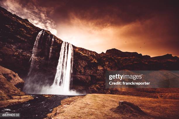 seljalandsfoss waterfall in iceland - gloomy swamp stock pictures, royalty-free photos & images