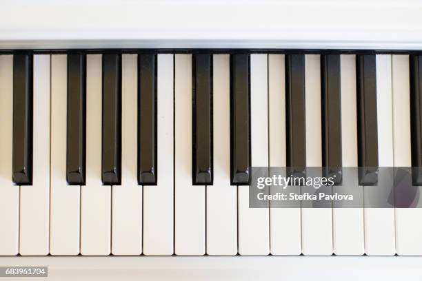digital piano keys close-up - tasteninstrument stock-fotos und bilder
