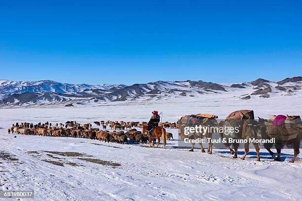 mongolia, winter transhumance of kazakh people - cultura nomade foto e immagini stock