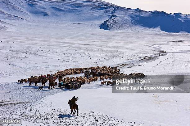 mongolia, winter transhumance of kazakh people - kazakhstan man stock pictures, royalty-free photos & images