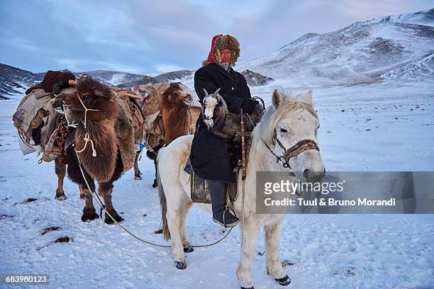mongolia, winter transhumance of kazakh people - minority groups stock-fotos und bilder
