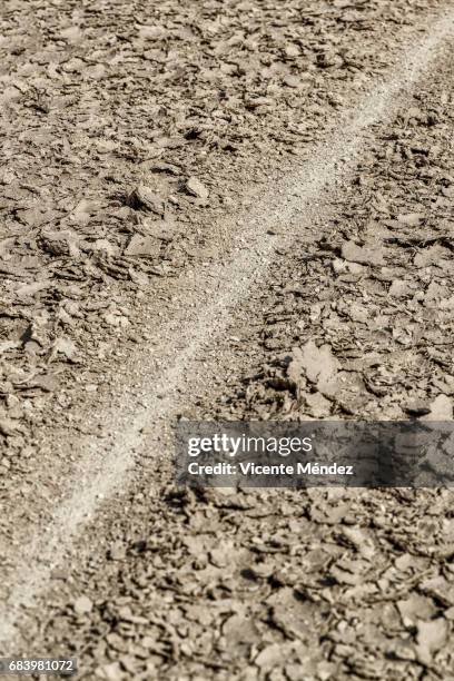 diagonal on cracked soil - imagen minimalista stock-fotos und bilder