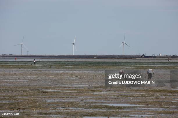 People fish from the shore on the "passage du Gois" between Noirmoutier island and Beauvoir sur Mer in Bourgneuf bay at low tide on May 16 in...