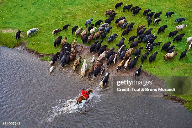 mongolia, yak herdsman - mongolië stockfoto's en -beelden