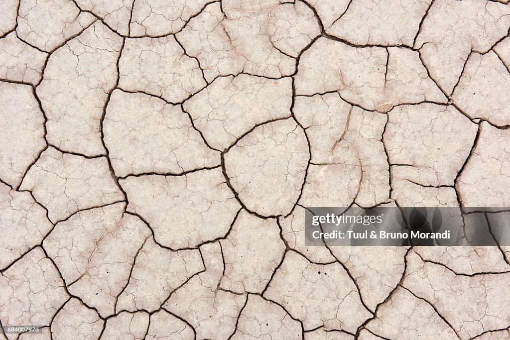 Mongolia, Zavkhan province, arid ground