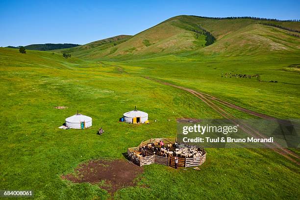 mongolia, yurt nomad camp - semi arid stock pictures, royalty-free photos & images