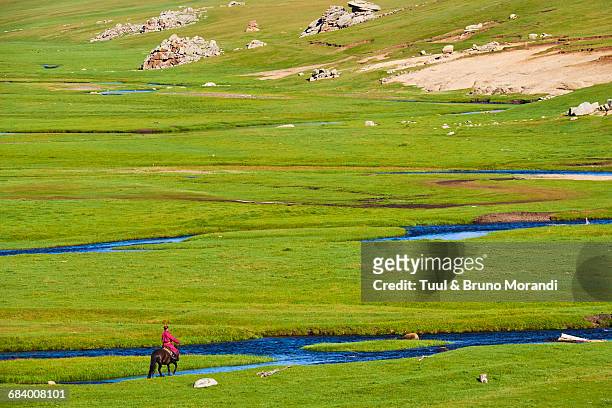 mongolian horserider in the steppe - steppeklimaat stockfoto's en -beelden