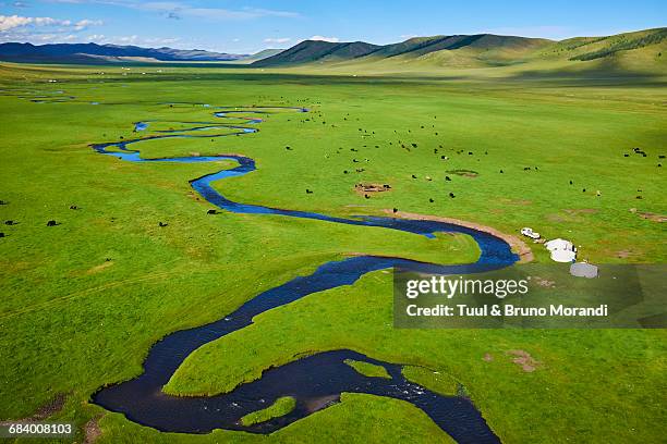 mongolia, yurt nomad camp in a valley - ステップ地帯 ストックフォトと画像