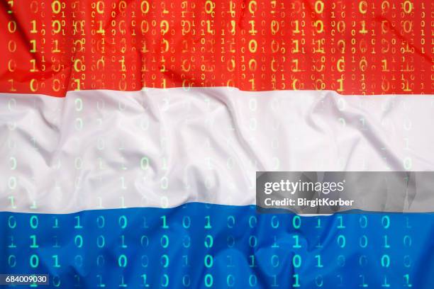 Understanding Data and Fiber Competitors in the Netherlands