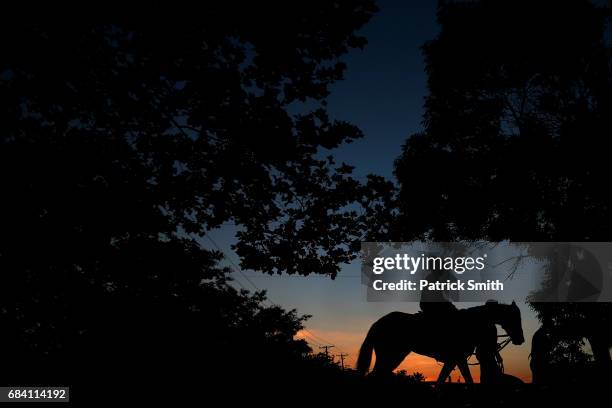 Exercise rider Nick Bush walks Kentucky Derby winning horse Always Dreaming back to the barn after following a training session for the upcoming...