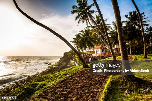 golden light on a path leading to a resort near varkala beach, kerala, india - thiruvananthapuram stock pictures, royalty-free photos & images