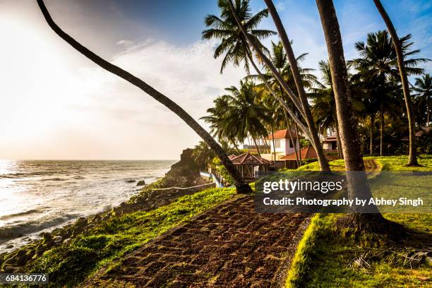 golden light on a path leading to a resort near varkala beach, kerala, india - kerala stock pictures, royalty-free photos & images