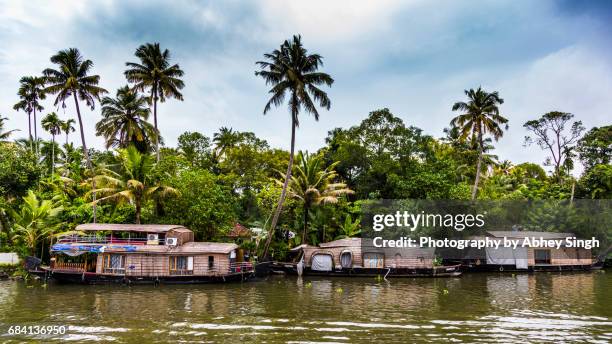 houseboat, backwaters, alappuzha, kerala, india - canal interior imagens e fotografias de stock