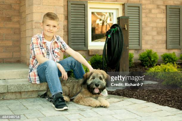 en pojke och hans hund - soft coated wheaten terrier bildbanksfoton och bilder