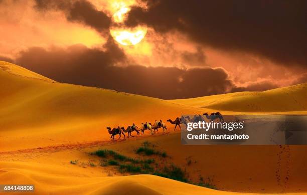 ausflug in die wüste - eastern stock-fotos und bilder