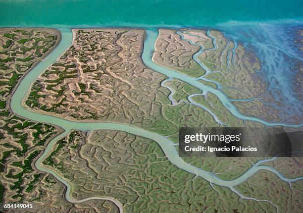 marismas del guadalquivir, andalusia - river aerial stock pictures, royalty-free photos & images