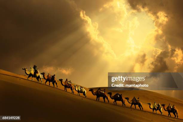 caravan in the desert - independent mongolia stock pictures, royalty-free photos & images