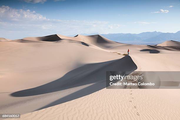 tourist at mesquite sand dunes, death valley, usa - großes becken stock-fotos und bilder