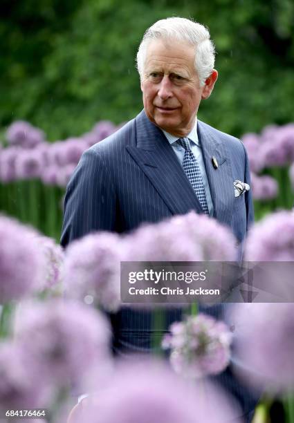 Prince Charles, Prince of Wales amongst the Alliums during a visit to Kew Gardens on May 17, 2017 in London, England.