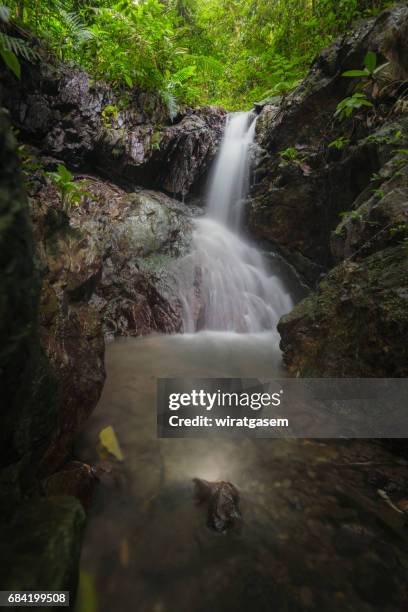 deep forest waterfall - shedd brook stock pictures, royalty-free photos & images