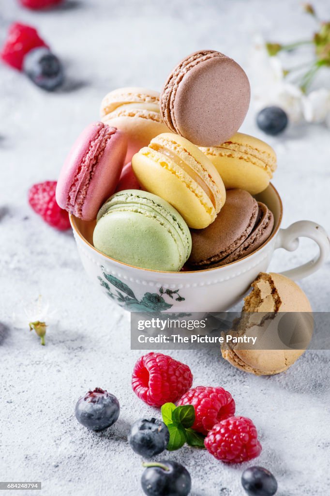 Variety of french dessert macarons