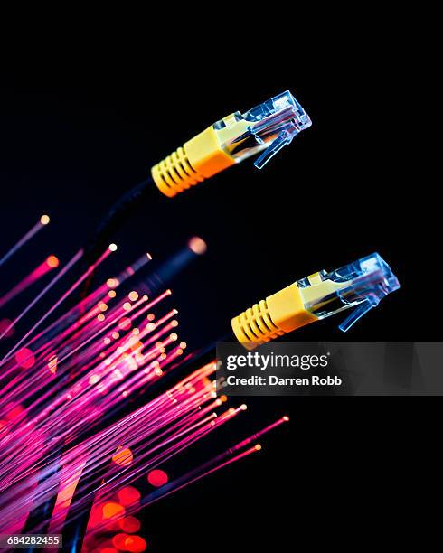 ethernet cable connectors and fibre optics - optical fiber stock pictures, royalty-free photos & images