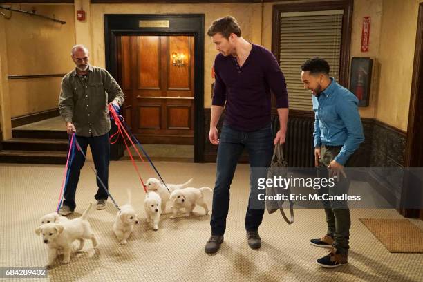 Daddy's Girl" - The gang prepares for Baby Dileys arrival as Ben struggles with Emmas questions about her mother, on the spring finale of Baby Daddy,...