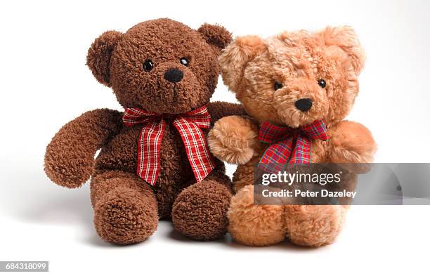 racial harmony teddy bears - peluche foto e immagini stock