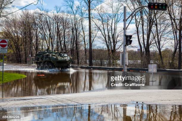 gatineau flooding - canadian military uniform stock pictures, royalty-free photos & images