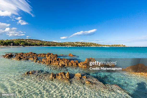 view of santa giulia bay - corsica 個照片及圖片檔