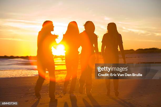 4 young people in silhouette walking - eric van den brulle stock pictures, royalty-free photos & images