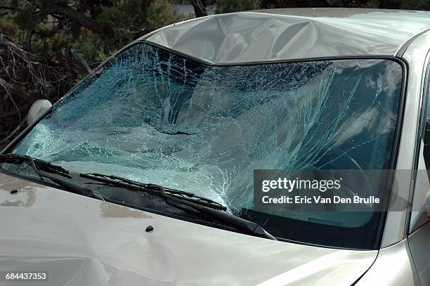 smashed car windshield - eric van den brulle stock-fotos und bilder