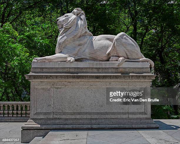 new york city public sculpted library lion - eric van den brulle stock pictures, royalty-free photos & images