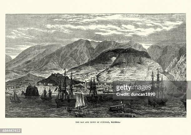 bay and town of funchal, madeira, 19th century - madeira stock illustrations