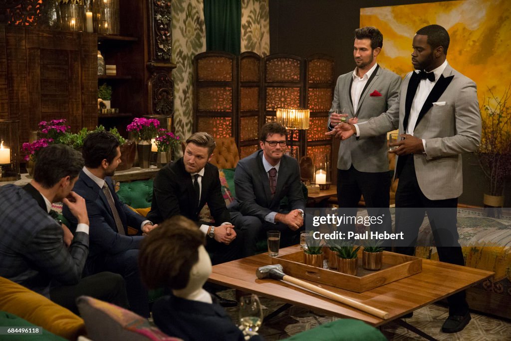 ABC's "The Bachelorette" - Season 13